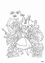 Coloring Wonderland Alice Pages Popular sketch template