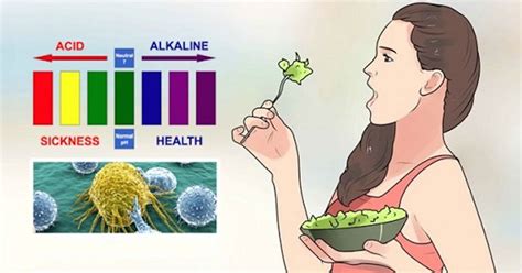 15 Alkaline Foods That Prevent Obesity Cancer And Heart