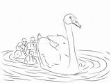 Swan Coloring Pages Cygnet Cygnets Mute Printable Babies Color Swans Drawing Baby Drawings Pond sketch template