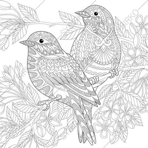 lovely birds coloring pages coloring book  adults  etsy