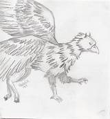 Hippogriff Buckbeak Fc02 sketch template