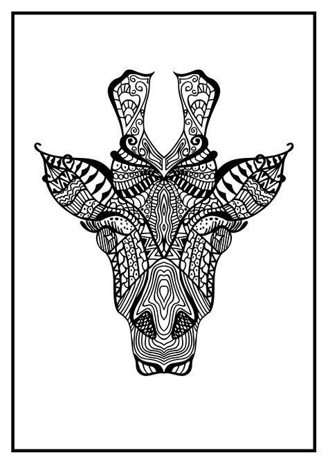 animal print coloring pages  adult coloring standard size etsy
