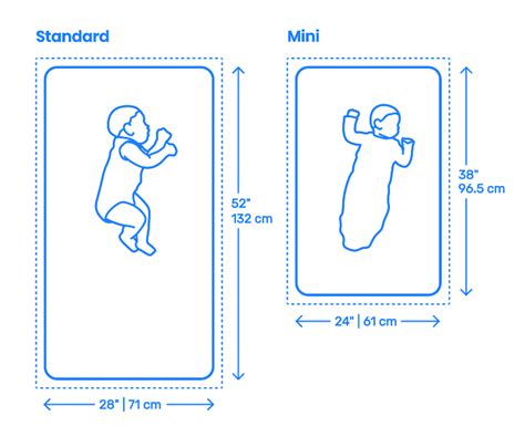 crib mattresses toddler beds dimensions drawings dimensionsguide