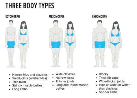 understanding  body types  weight loss  muscle gain
