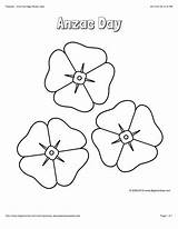 Anzac Template Poppy Poppies Coloring Color Flower Colouring Pages Sheets Printable Memorial Activities Remembrance Veterans Kids Bigactivities Flowers School Sheet sketch template