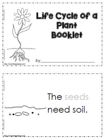 worksheets plant life cycles plant life cycle worksheet plant life