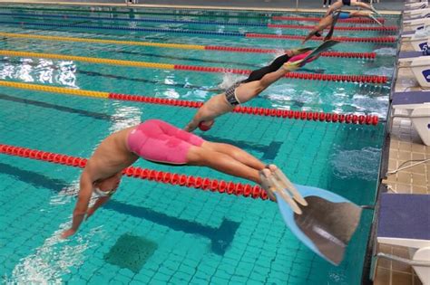 2019 international spring finswimming championships taipei chinese