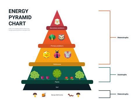 create  stunning pyramid chart   steps avasta