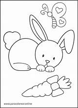 Conejos Conejo Pintar Paracolorear sketch template