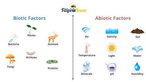 abiotic factors   environment filipiknow