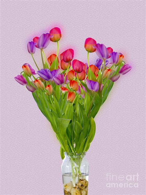 Tulips In A Vase Of Water Photograph By Ilan Fine Art America