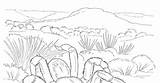 Desierto Colorear Biopedia Ecosistema Habitats Terrestre Colorings sketch template