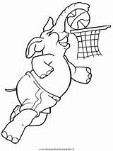 Pallacanestro Basket Baloncesto Elefant Nba Malvorlage Disegnidacoloraregratis sketch template