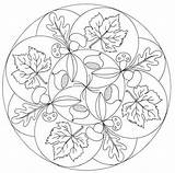 Mandala Coloring Pages Autumn Mandalas Kids Herfst Leaf Tardor Printable Fall Mandales Picasa Web Automne Feuille Crafts Google Sheets Para sketch template