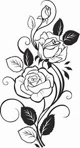 Rose 3axis Coloring Vector Pages Vine Roses Flower Drawing Print Stencil Adult  Sheets sketch template