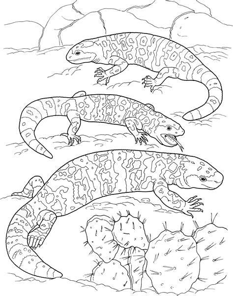 desert lizard coloring pages  coloring pages  coloring