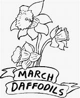 Coloring March Pages Printable Daffodils Flowers Flower Sheets Color Kids Print Sheet Month Months Spring Natural Coloringpages101 Online Getcolorings Popular sketch template