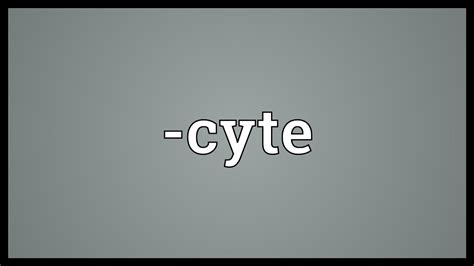cyte meaning youtube