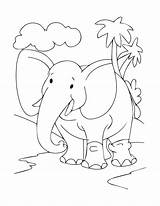 Verbnow Cute Elephants sketch template
