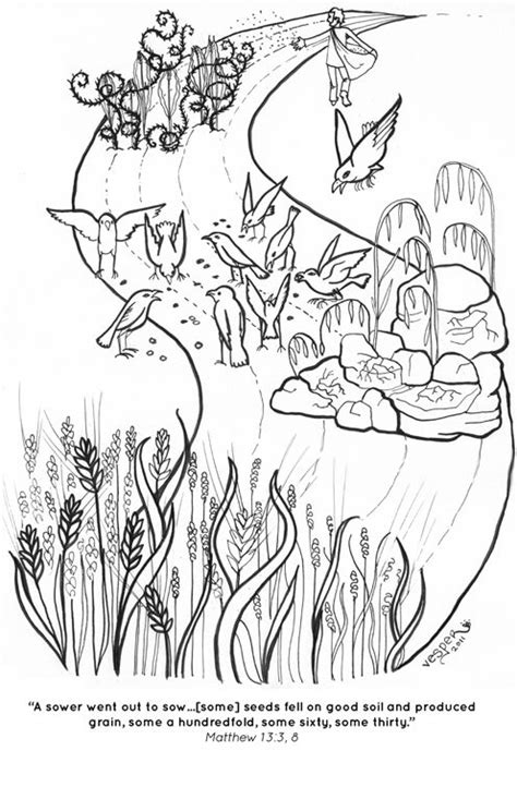 parable   sower coloring page sunday school crafts  tes