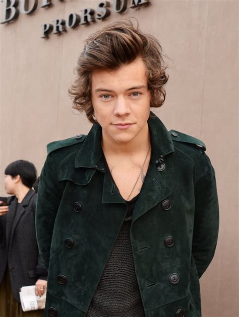Sexy Harry Styles Pictures Popsugar Celebrity Photo 70
