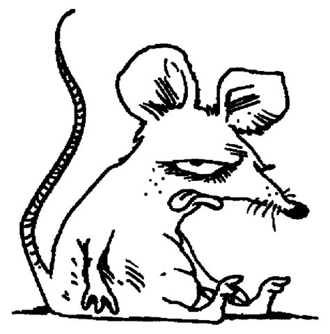 rat coloring page animals town animals color sheet rat