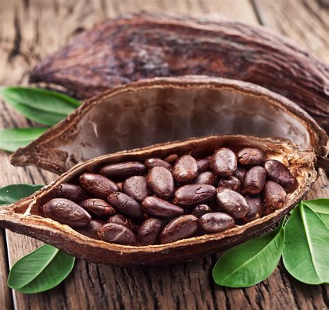 kakao allianz gesundheitswelt