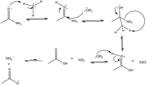 acid catalyzed hydrolysis  acetamide  reversible   irreversible reaction
