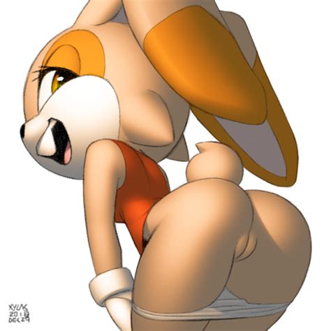 Rule 34 2018 Anthro Ass Bent Over Big Ears Black Nose