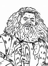 Hagrid Rubeus Colorir Cartoon sketch template