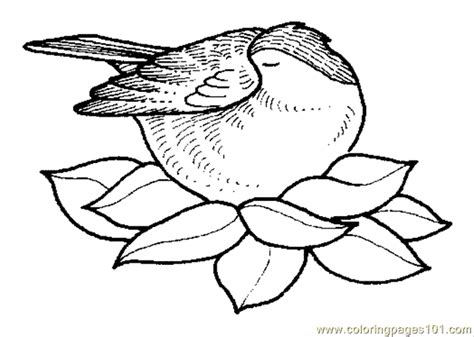 coloring pages coloring pages bird nest  natural world trees