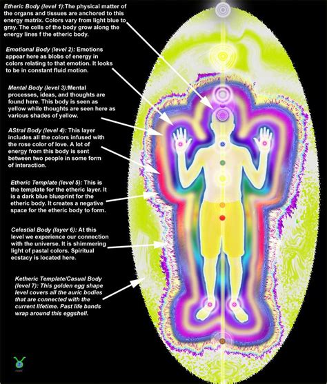 diagram showing    layers   aura  correspond     chakras