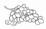 Grapes Bestcoloringpagesforkids sketch template