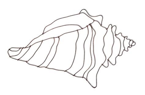 conch shell drawing   clip art  clip art  shell drawing abstract