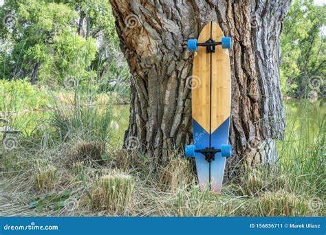 Cruising Wooden Longboard Stock Image Image Of Outdoor 156836711