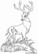 Bambi Bambie Ausmalbilder Disegni Mewarnai Pobarvanke Pobarvanka Malvorlagen Colorier Maman Tk Paud Colorare Bambi2 Alle sketch template