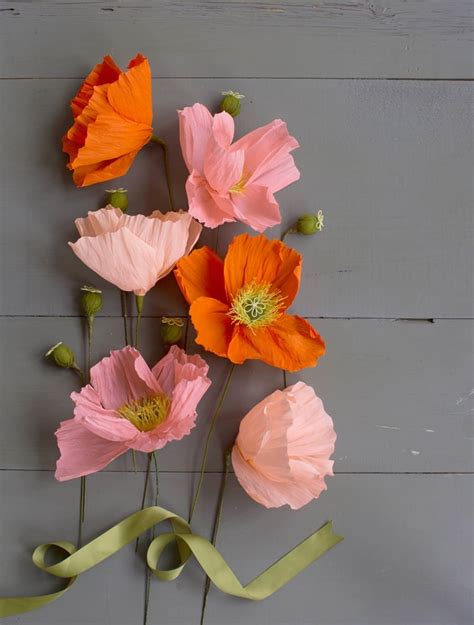 crepe paper icelandic poppy flower kit  lia griffith adhesive