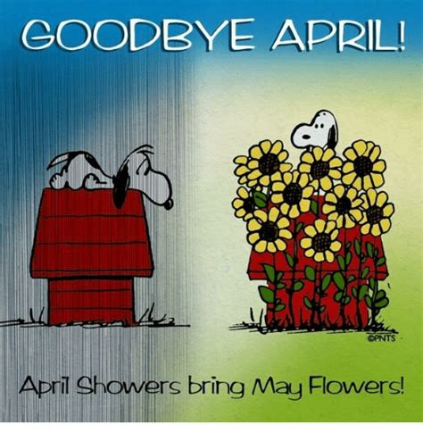 coodbye apr opnts april showers bring  flowers meme  sizzle