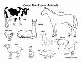 Farm Animals Coloring Animal Pages Print Color Printable Preschool Zoo Baby Colouring Equipment Arctic Jam Realistic Wolf Tundra Labeling Drawing sketch template