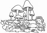 Pilze Paddestoelen Champignons Coloriage Malvorlagen Colorare Funghi Mushrooms Ausmalbilder Ausmalbild Pilz Paddestoel Animaatjes Steinpilz Coloriages Disegno Grzyby Foret Ausmalen Herbst sketch template