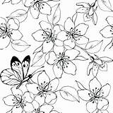 Cherry Blossom Coloring Pages Tree Japanese Colouring Getcolorings Printable Lovely Getdrawings Color sketch template