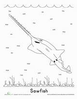Coloring Sawfish Shark Pages Saw Endangered Species Education Homeschool Worksheets Kindergarten Activities Puzzles Critically Color Designlooter sketch template