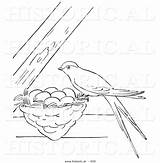 Swallow Eggs Perched Outlined Picsburg sketch template