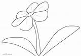 Flower Outlines Coloring Clipart Clipartbest sketch template