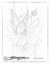 Coloring Jody Bergsma Drawing Pages sketch template