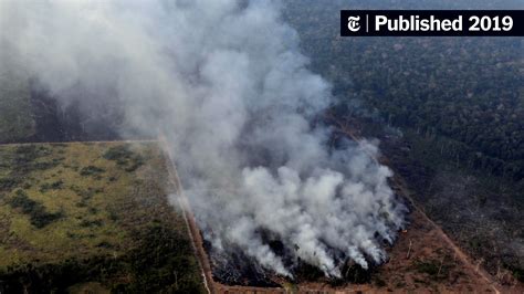 amazon rainforest fires heres whats  happening   york times