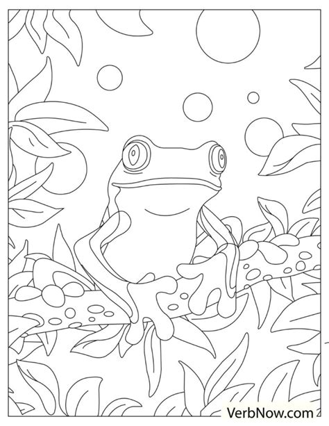 frogs coloring pages   printable  verbnow