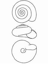 Snail Ausmalen Colorare Lumaca Ausmalbilder Slak Schnecke Caracol Concha Supercoloring Schnecken Guscio Malvorlagen Dieren Incantevole Lumache Colouring sketch template