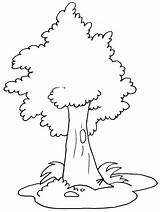 Tree Coloring Pages Printable Kids sketch template