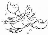 Sebastian Mermaid Coloring Pages Little Undersea Happily Swims Crab Pages2color Jamaican Tritons Red Print Servant Color Cookie Copyright sketch template